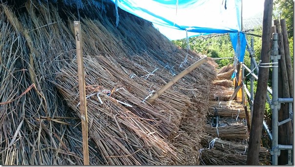 11898616_1029846903701518_6615424259718394764_n